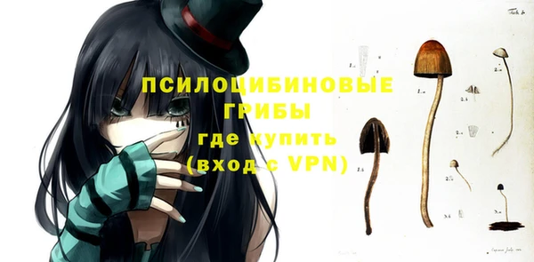 прущие грибы Балабаново