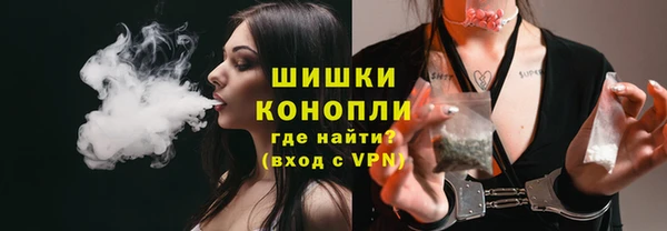 прущие грибы Балабаново