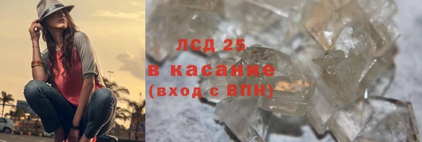 прущие грибы Балабаново