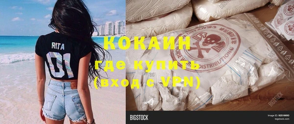 прущие грибы Балабаново