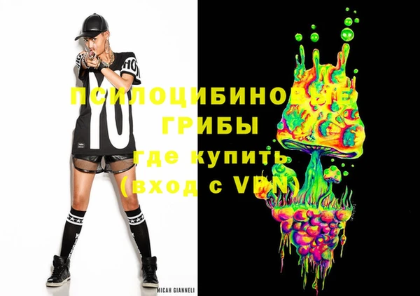 прущие грибы Балабаново