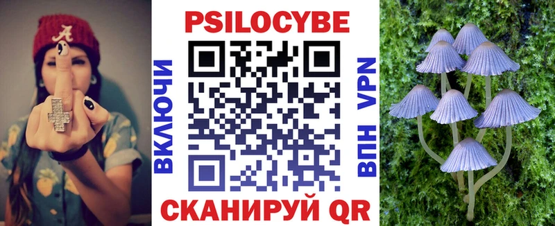 KRAKEN онион  купить закладку  Серов  Галлюциногенные грибы мухоморы 